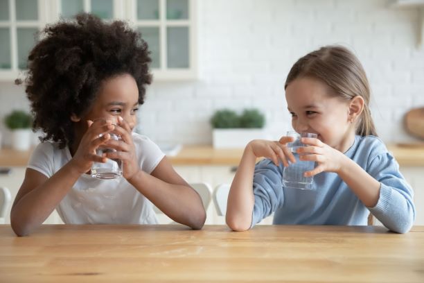 Top 5 Most Efficient Water Ionizers